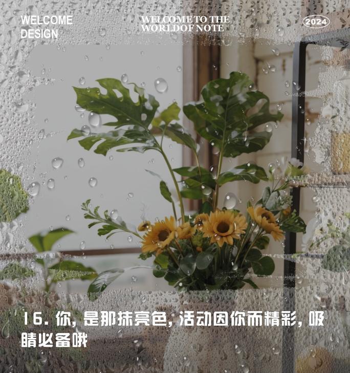 如何撰写吸引人的活动文案？常见问题有哪些？