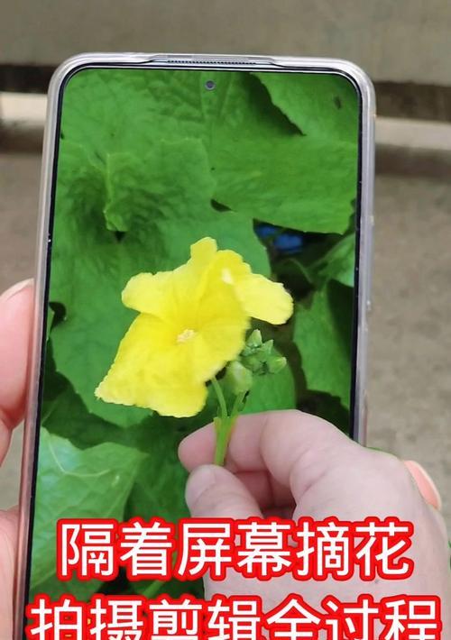 手机上视频剪辑教程自学怎么开始？有哪些自学资源推荐？