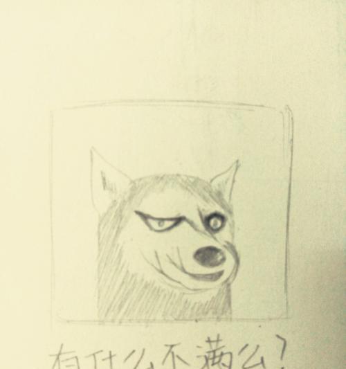 公认“高端货”就是拽？如何辨别真正的高端品牌？