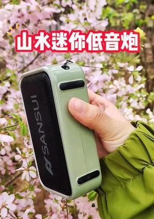 随身听挂壁式音响的音质如何？使用体验有哪些特点？