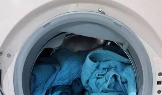 洗衣机洗羽绒服用什么模式好？需要注意什么？