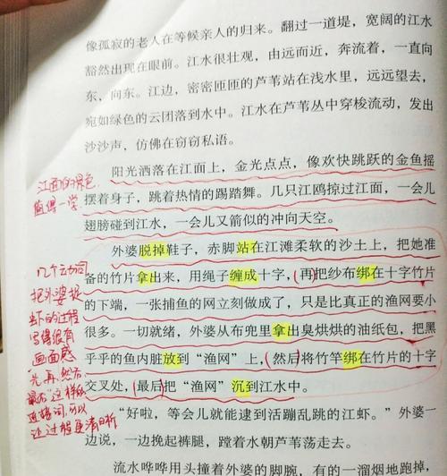 分镜头观察法的写作技巧是什么？