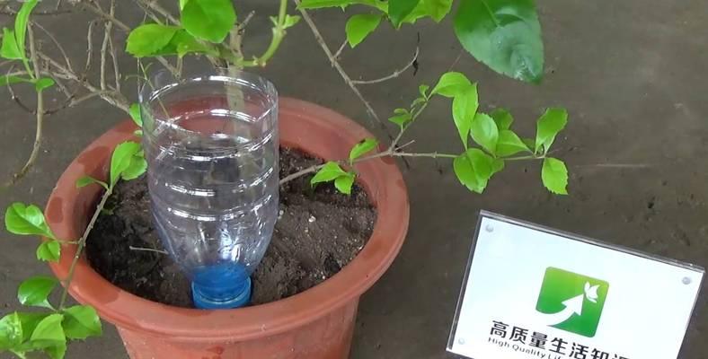 电瓶车塑料部件清洗方法是什么？清洗后如何保养？