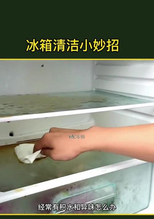 如何彻底清洁冰箱？（定期清理方法）
