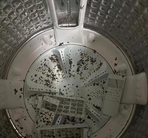 清洗拖把洗衣机的有效方法（保持拖把洗衣机洁净的小窍门）