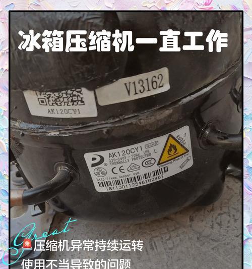 冰箱插上电压缩机没声音的原因及解决方法（探究冰箱插上电压压缩机无声的原因）