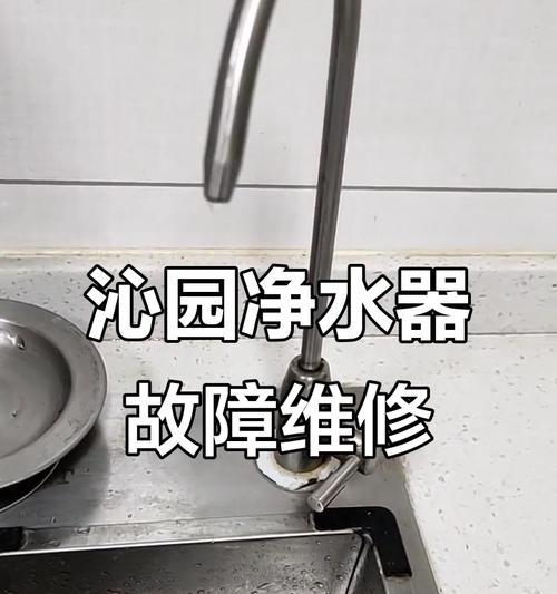 净水器发动机故障的原因及解决方法（常见净水器发动机故障及应对措施）
