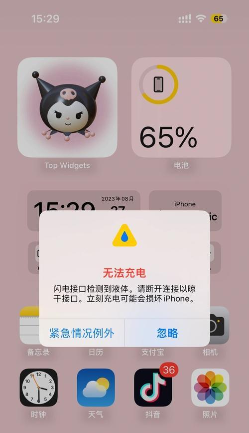 iPhone无法充电怎么办（iPhone充电故障原因分析与解决方法）