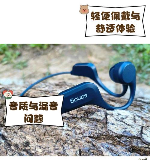 塞纳耳机支持存储歌曲和视频吗？如何操作？
